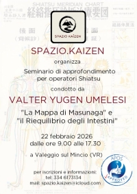 "La Mappa di Masunaga e il Riequilibrio Energetico degli Intestini"- SPAZIO.KAIZEN - &ldquo;Evento Apos Approved&rdquo;- Valeggio sul Mincio (VR) - 22 Febbraio 2026