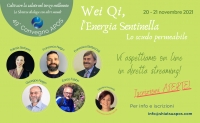 49&deg; Convegno Nazionale di Aggiornamento ON LINE:  "Wei Qi, l&rsquo;Energia Sentinella. Lo scudo permeabile&rdquo;.